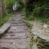 Stone Steps at Torc, The Ring of Kerry