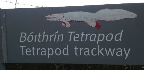 Tetrapod Trackway