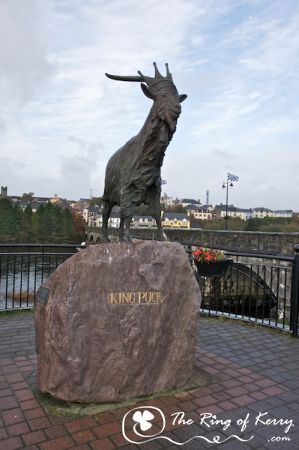 King Puck, The Ring of Kerry King Puck, The Ring of Kerry
