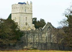 Muckross Abbey, Killarney National Park